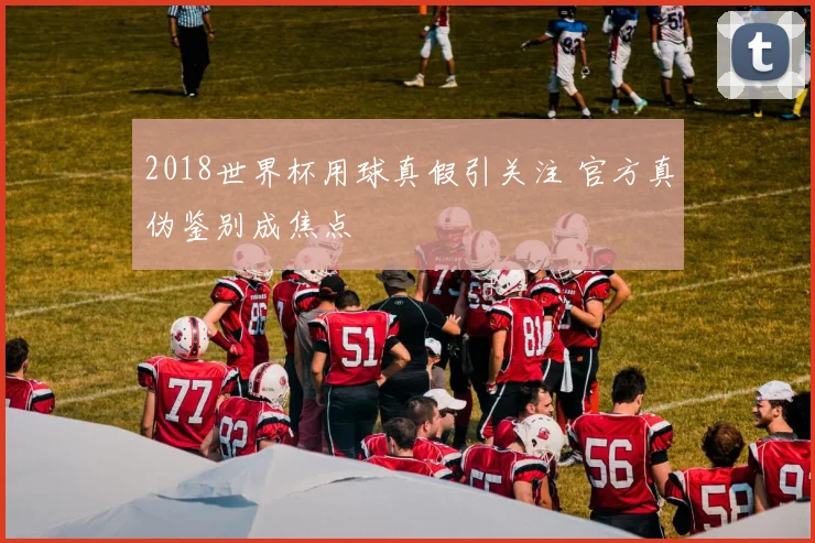 2018世界杯用球真假引关注 官方真伪鉴别成焦点
