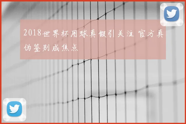 2018世界杯用球真假引关注 官方真伪鉴别成焦点