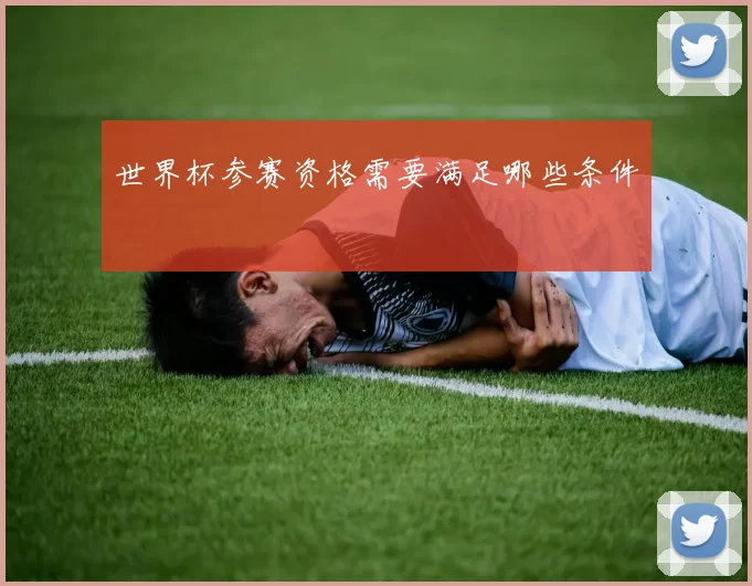世界杯参赛资格需要满足哪些条件